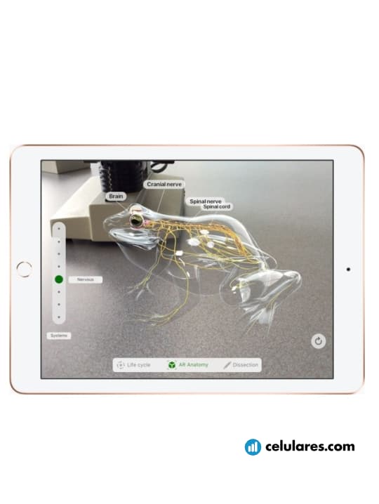 Imagen 10 Tablet Apple iPad 9.7 (2018)