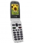 Phone Easy 6030