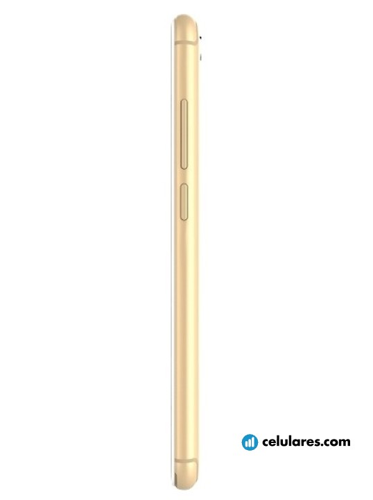 Imagen 3 Intex Indie 15