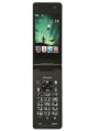 Panasonic P-01G