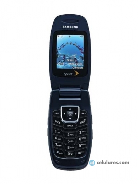 Samsung SPH-A640