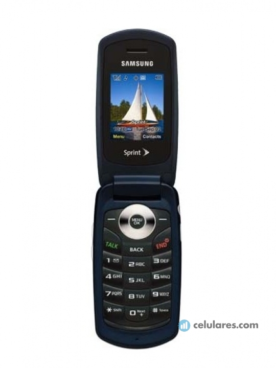 Samsung SPH-M220