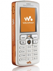 Fotografia Sony Ericsson W800