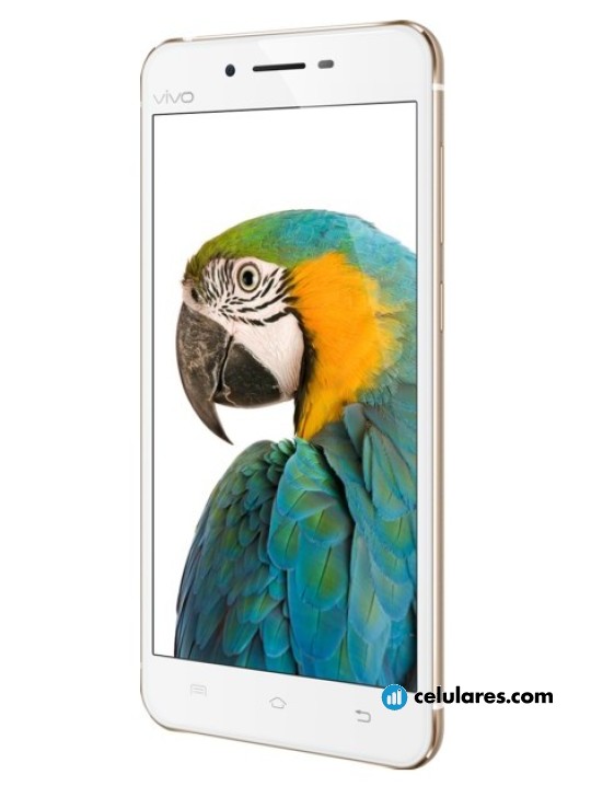 Imagen 4 Vivo X6Plus A